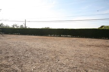 Enlarge photo 19