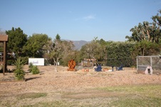 Enlarge photo 15