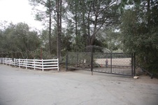 Enlarge photo 1