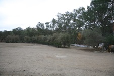 Calamigos Ranch - North 40 Parking Lot