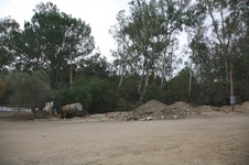 Enlarge photo 7