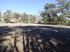 Enlarge photo 27