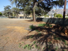 Enlarge photo 29