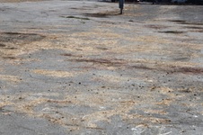 Enlarge photo 19
