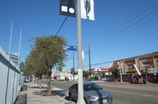 Enlarge photo 9