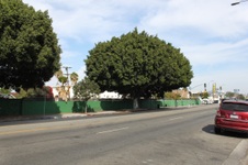 Enlarge photo 3