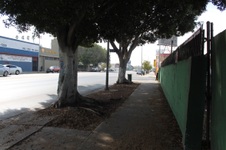 Enlarge photo 11