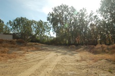 Enlarge photo 12