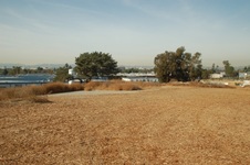 Enlarge photo 25