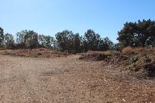 Enlarge photo 54