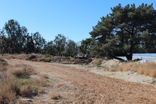 Enlarge photo 48