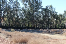 Enlarge photo 40