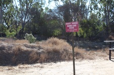 Enlarge photo 41