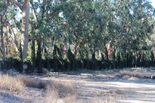 Enlarge photo 42