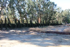 Enlarge photo 39