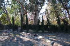 Enlarge photo 7