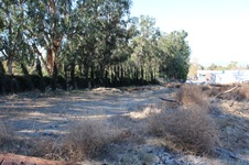 Enlarge photo 2