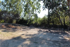 Enlarge photo 1