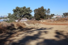 Enlarge photo 34