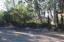 Enlarge photo 62