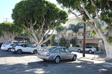 Enlarge photo 15