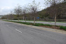 Enlarge photo 26