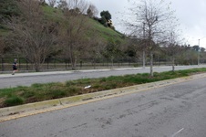 Enlarge photo 27