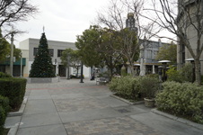 Enlarge photo 7