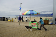 Enlarge photo 18