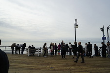 Enlarge photo 48