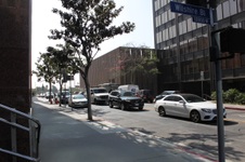 Enlarge photo 269