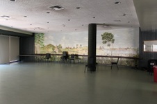 Enlarge photo 55