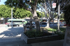 Enlarge photo 15