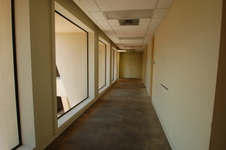 Enlarge photo 81