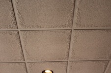 Enlarge photo 157