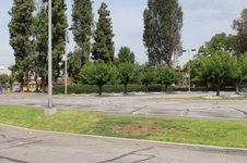 Enlarge photo 282