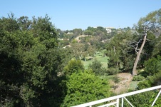 Enlarge photo 66