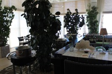 Enlarge photo 46