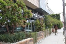 Herringbone Santa Monica