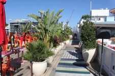 Enlarge photo 37
