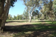 Enlarge photo 2