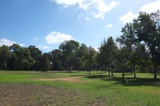 Enlarge photo 15