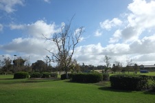 Enlarge photo 2