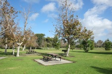 Enlarge photo 11