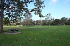 Enlarge photo 15