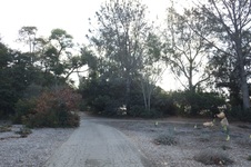 Enlarge photo 24
