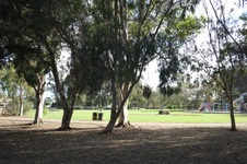 Enlarge photo 15