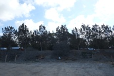 Enlarge photo 15