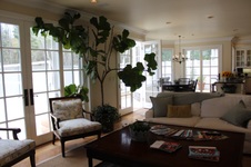 Enlarge photo 52