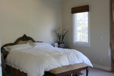 Enlarge photo 51
